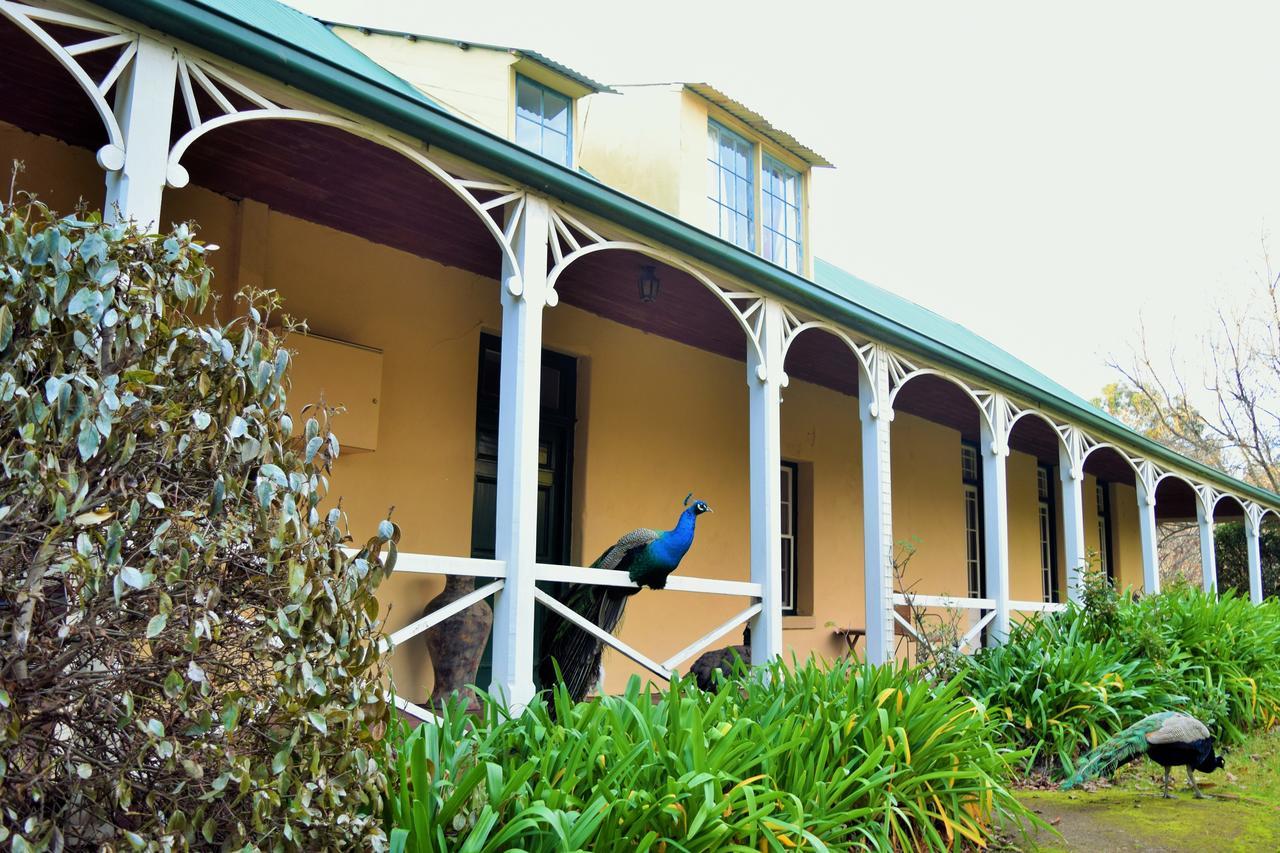 Cleburne Homestead Risdon Kültér fotó