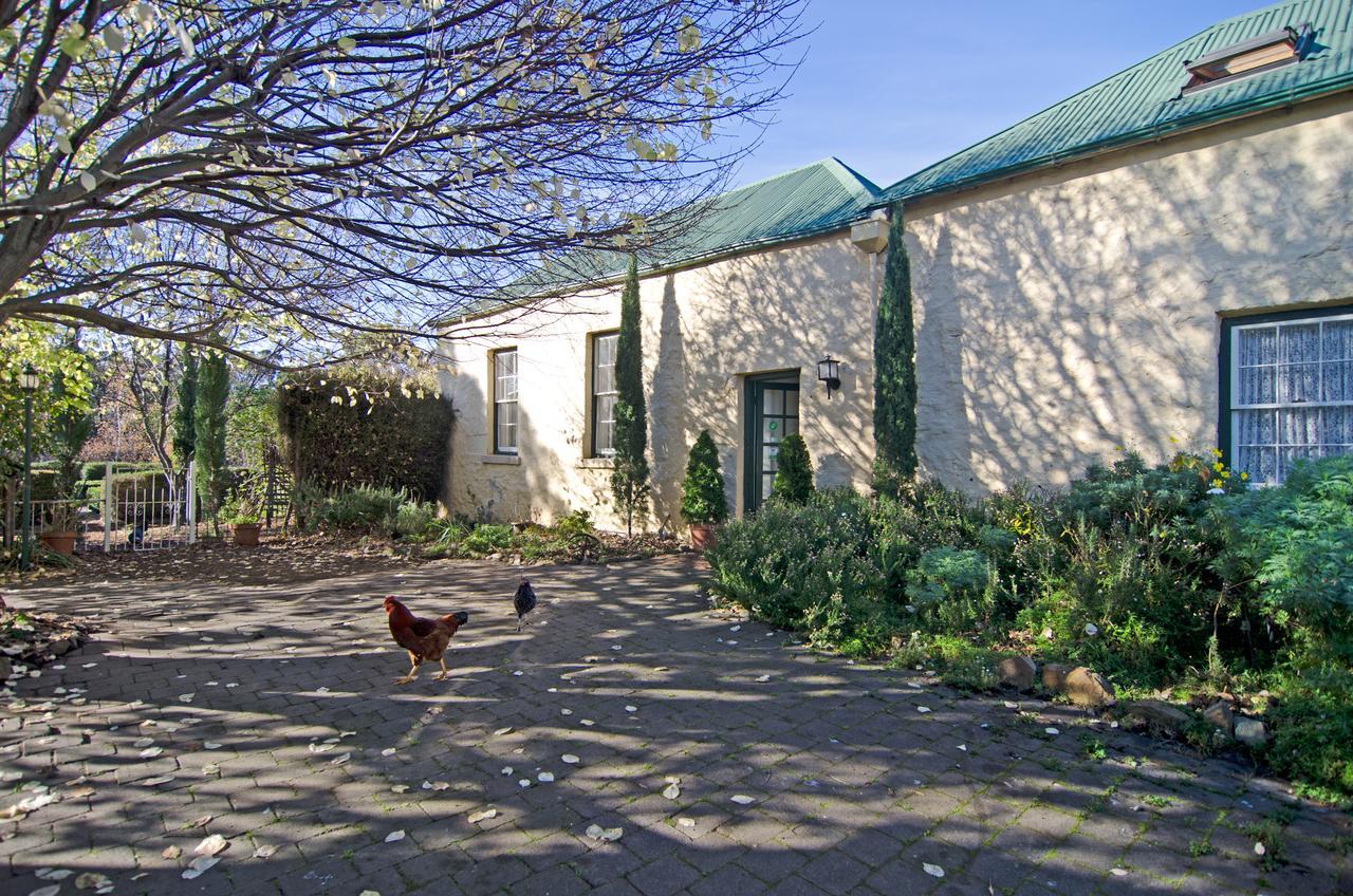 Cleburne Homestead Risdon Kültér fotó